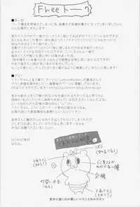 (Reitaisai 11) [Kuma-tan Flash! (Hanao.)] concern (Touhou Project)