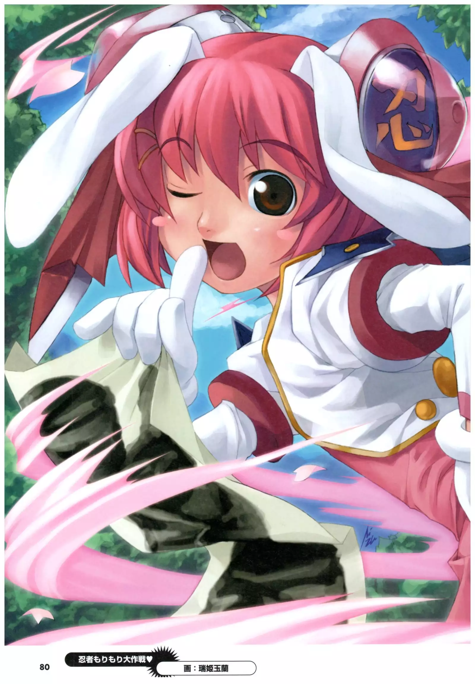 大番長 visual fan book