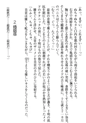 年上メイドの新婚日記