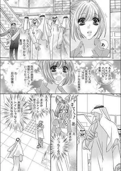 Ore-sama Seek no Hanayome Dorei 1