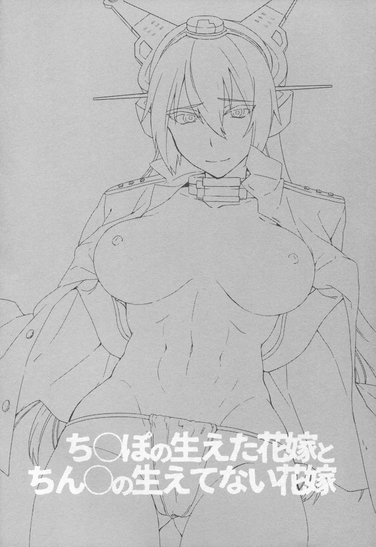 Chinpo no Haeta Hanayome to Chinpo no Haetenai Hanayome