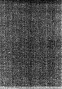 (C91) [Hirahira (Hirari)] Shachiku-chan to Namaiki Shinjin (NEW GAME!)