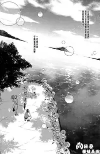 [JOJO][JC]Stelle[CN]