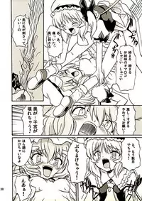 (Reitaisai 2) [Takakuya (Takaku Toshihiko)] Touhou Youjo Ranbu 2 (Touhou Project)