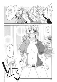 (Tsuki no Utage) [pinktips.info (kazuha)] Souka Ryouran no Bouchuujutsu (Touhou Project)