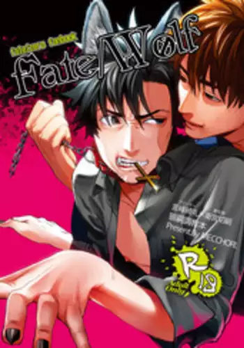 [MECCHORI (Mitsuru)] Fate/Wolf (Fate/Zero) [Digital]