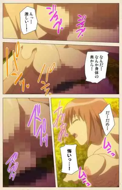 [chichinoya] [Full Color seijin ban] Isshoni H Shiyo Kanzenban