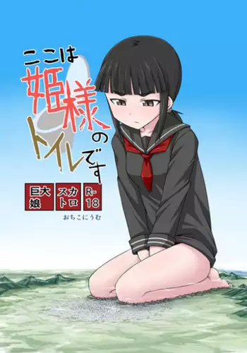 (C82) [Ochikonium (Terada Ochiko)] Koko wa Toile dewa Arimasen 3 | 這裡不是廁所呦 3 [Chinese] [个人汉化]