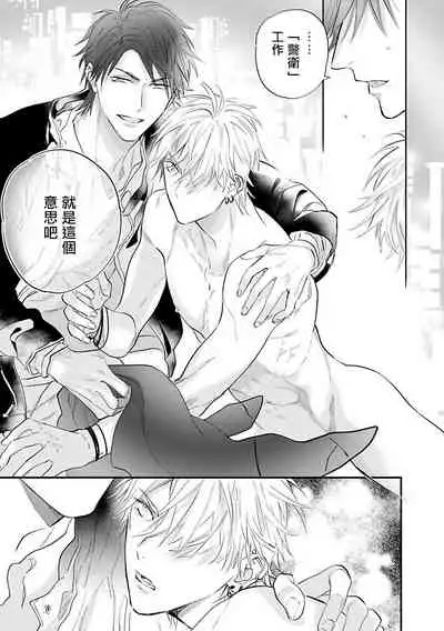 Burlesque Night | 艳舞荒诞夜