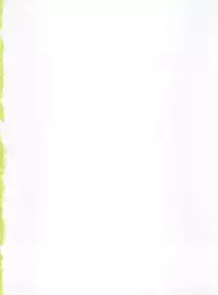 (C81) [Gambler Club (Kousaka Jun)] Kotori Donburi (Yu-Gi-Oh! Zexal)