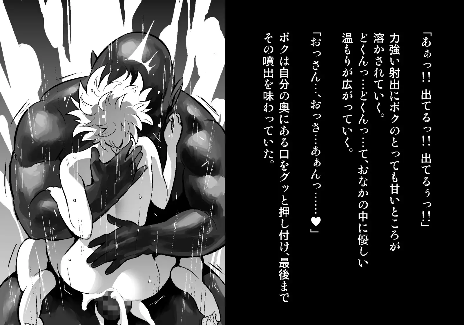 フェアリーセティ