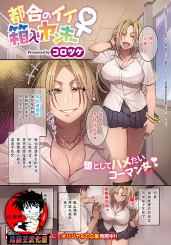 Tsugou no Ii Hakoiri Yankee