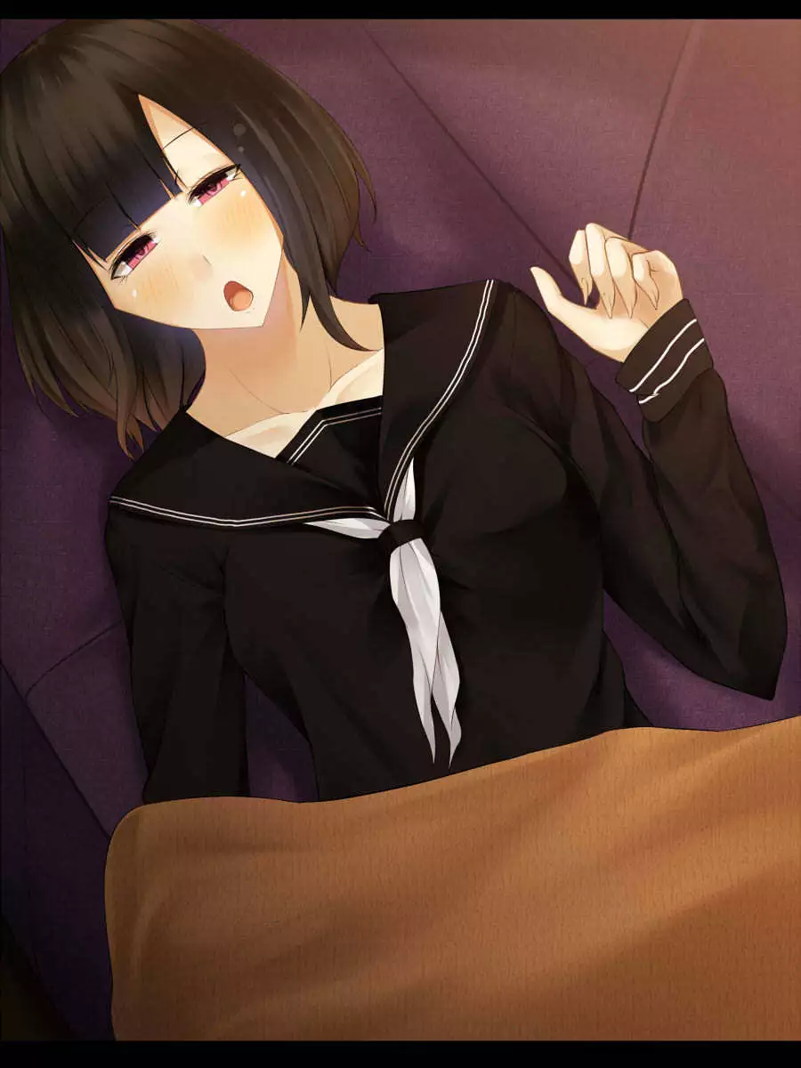 Hatsukoi no Osananajimi wa Ani no Kanojo ~Muboubi ni Nemuru Kanojo o Muriyari Netotta Ore~