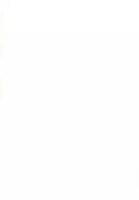 (C82) [STUDIO TRIUMPH (Mutou Keiji)] Astral Bout Ver.23 (Mahou Sensei Negima!)