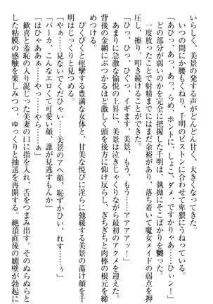 年上メイドの新婚日記