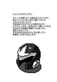 [Web再録] メタブルのエロ本２冊・他