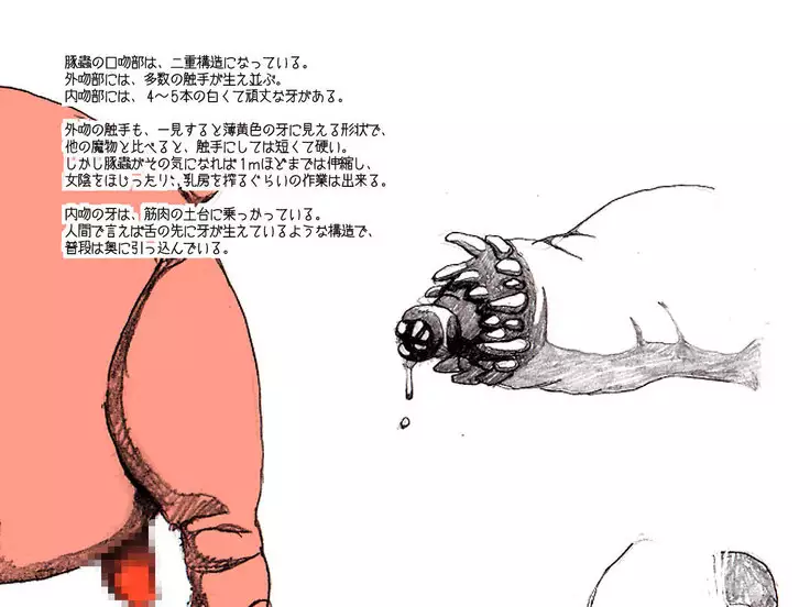 Orc no Yabou:設定資料「豚蟲」