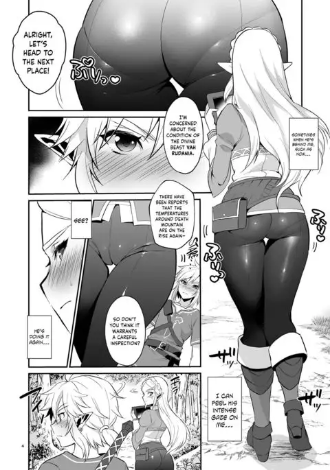 Hyrule Hanei no Tame no Katsudou! | Taking Steps to Ensure Hyrule's Prosperity! =The Lost Light=