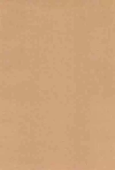 (C102) [CHERRY BLOSSOMS (Yuri)] GRM Shachou no Natsu wa Beach de Ichaicha shiyou (Phantasy Star Universe) [Chinese] [逃亡者×真不可视汉化组]