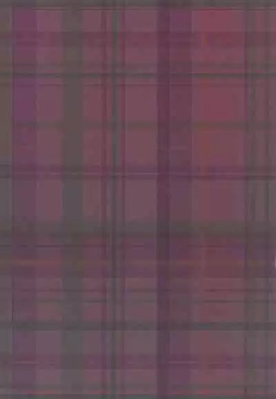 (Reitaisai 16) [Chirimen Studio (Moyasibasto)] Hamedori Hajimatta yo? Youmu-chan | We're About To Start Filming Us Having Sex, Youmu-chan (Touhou Project) [English] {Doujins.com}