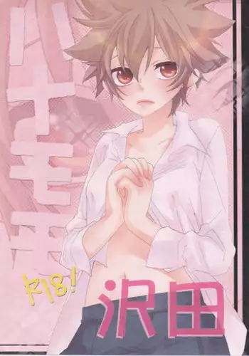 チョコフェス新刊 リボツナ子本 (Katekyoo Hitman REBORN!)sample