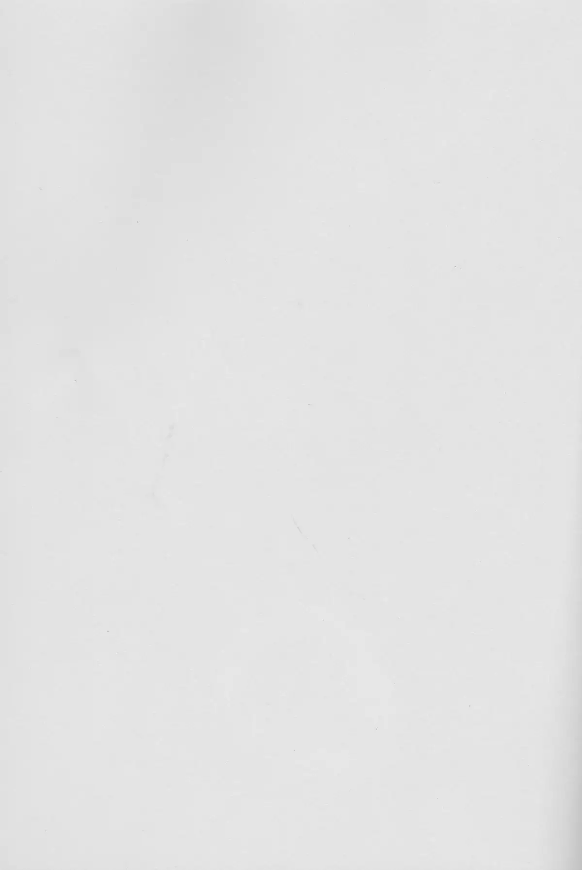 タイトル:宵闇に濡れる花