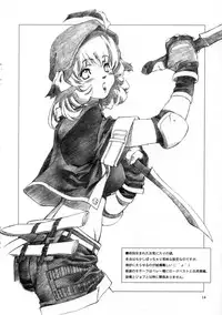 (C69) [Crank.In (Mizutani Tooru)] Materialize Concertante (Final Fantasy XI)