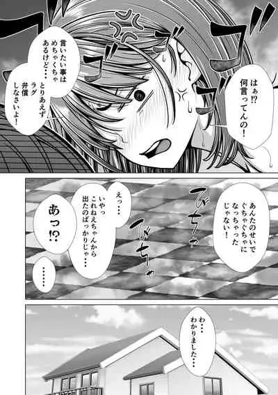 Houkei o Baka ni Shita Ane o Yatte Shimau Hanashi