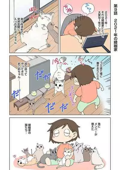 COMIC Ananga Ranga Vol. 80