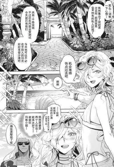 (C102) [CHERRY BLOSSOMS (Yuri)] GRM Shachou no Natsu wa Beach de Ichaicha shiyou (Phantasy Star Universe) [Chinese] [逃亡者×真不可视汉化组]