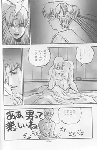 (C44) [METAL (Sengoku-kun)] Sengoku (Record of Lodoss War, Sailor Moon)