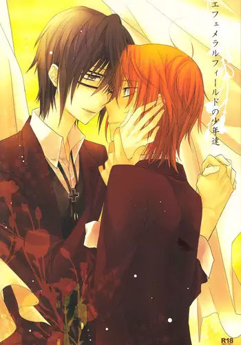 (C84) [Kokuyouchou (Kagari Touya)] Ephemeral Field no Shounen-tachi (K) [English] [marise]