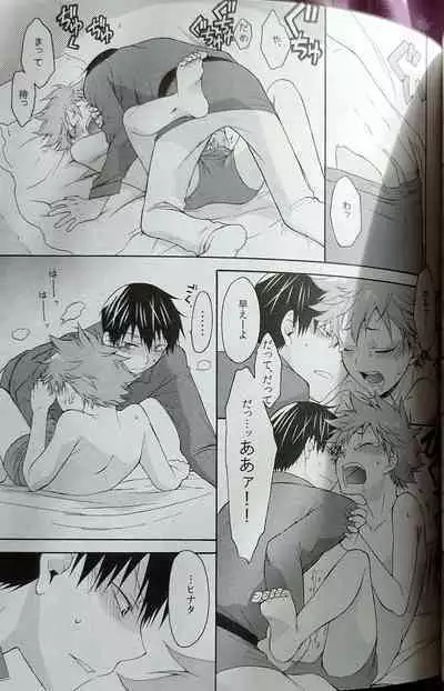 Kochira no Yuusha-sama Baiyakusumi to Natte Orimasu