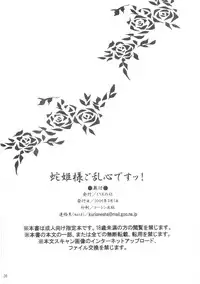 [Kurione-sha (YU-RI)] Hebihime-sama Goranshin desu! (ONE PIECE) [English] [SaHa]