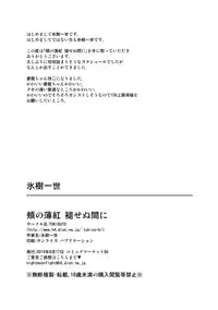 (C86) [TUKIBUTO (Hyouju Issei)] Hoho no Usubeni Asenu Aida ni (Kantai Collection -KanColle-) [English] [XCX Scans]