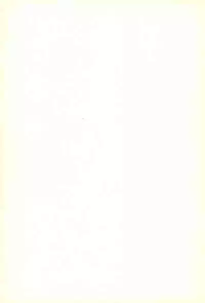 (C44) [M.C.B (Various)] Tsuki no Ura no Labyrinth (Sailor Moon)