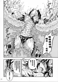 (C90) [Yokohama Junky (Makari Tohru)] Solo Hunter-tachi no Seitai (Monster Hunter) [Chinese] [中国翻訳] [VK1062喵&萌紋 漢化]