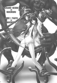 (C75) [IRODORI (SOYOSOYO)] SOYOSOYO Tamashii Sono ni (Samurai Spirits)