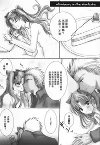 (C71) [einfach, C.S. (Tomoya, Himemiya Aya)] AR A commemorative book of winter (Fate/stay night) [Chinese]