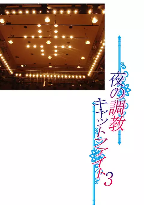 Yoru no Choukyou Cat Fight 3