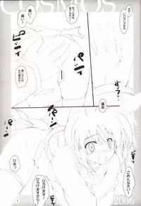 (C71) [Lili Marleen (Kinohara Hikaru)] COSMOS (Mahou Shoujo Lyrical Nanoha)