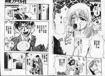 Chousa File H - Investigation File