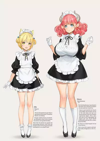 Himitsu no Shoukan de Ajin Maid o | A Secret Brothel with Demihuman Maids