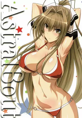 (C81) [STUDIO TRIUMPH (Mutou Keiji)] Astral Bout Ver.22 (Infinite Stratos)