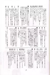 (C67) [Red Ribbon Revenger (Hayama, Makoushi)] Shouhou (Gundam Seed Destiny)