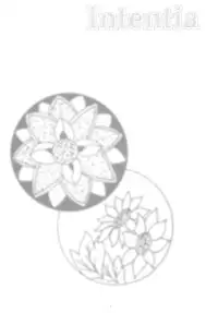 (C63) [Shungabu (Kantamaki Yui, Minchi)] Intentia (Chobits)