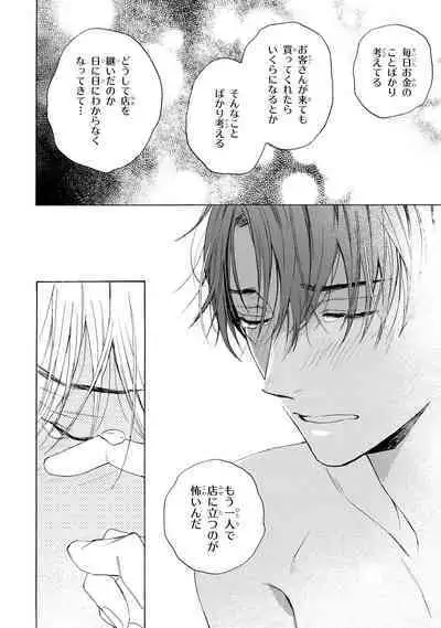 Ginmokusei no Shitateya