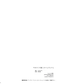 (Shuuki Reitaisai 5) [Mohumohu Chaya (Uguisu Mochi)] Yamabiko ga Koishita Ningen-san (Touhou Project)