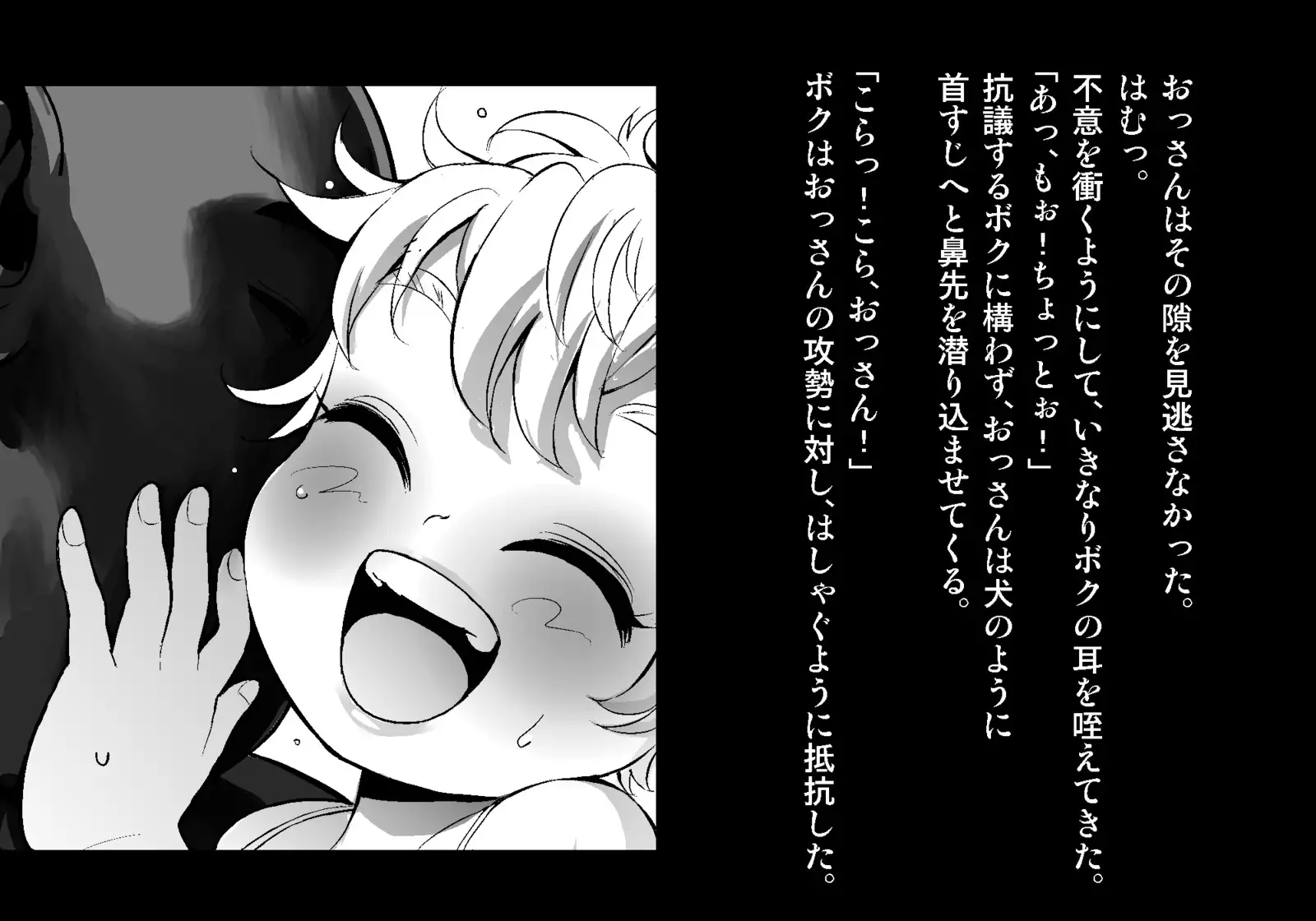 フェアリーセティ